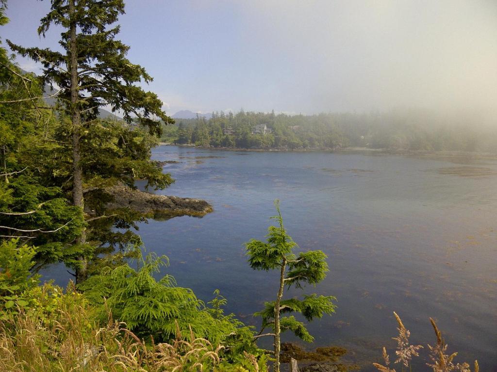 Cygnet Cove Suites Ucluelet Dış mekan fotoğraf