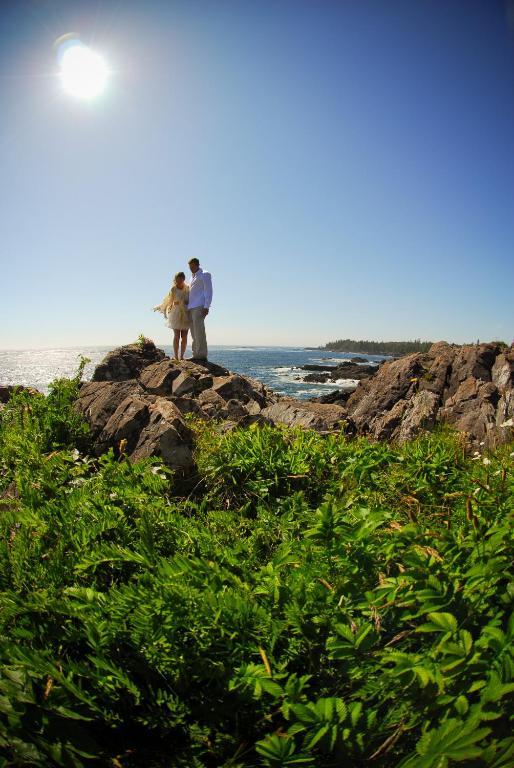 Cygnet Cove Suites Ucluelet Dış mekan fotoğraf