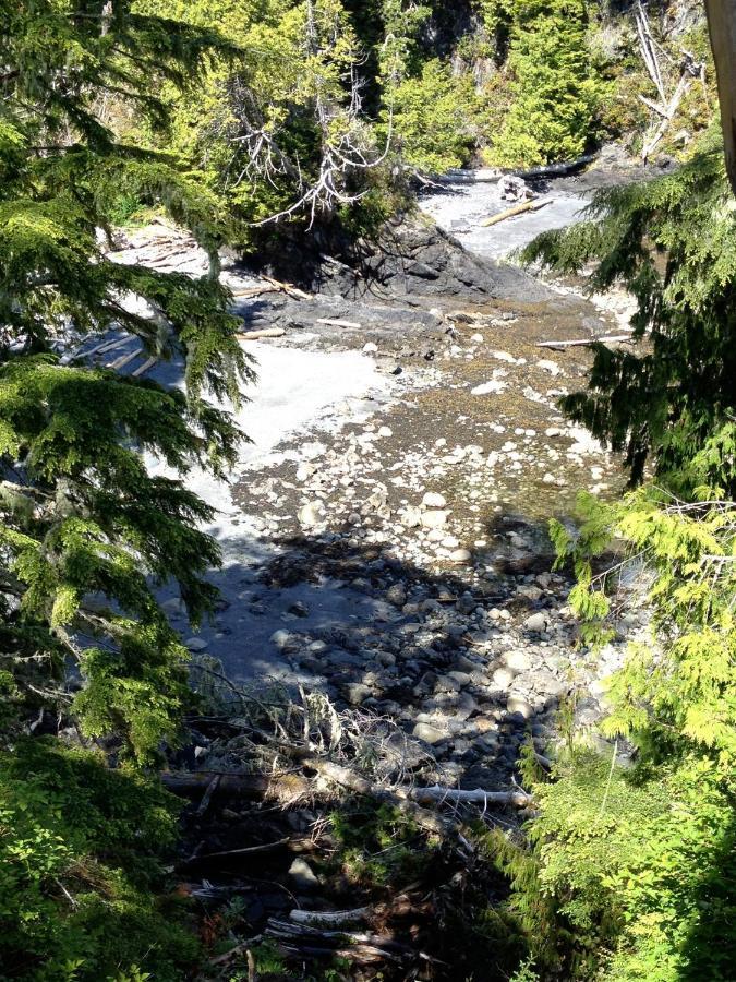 Cygnet Cove Suites Ucluelet Oda fotoğraf