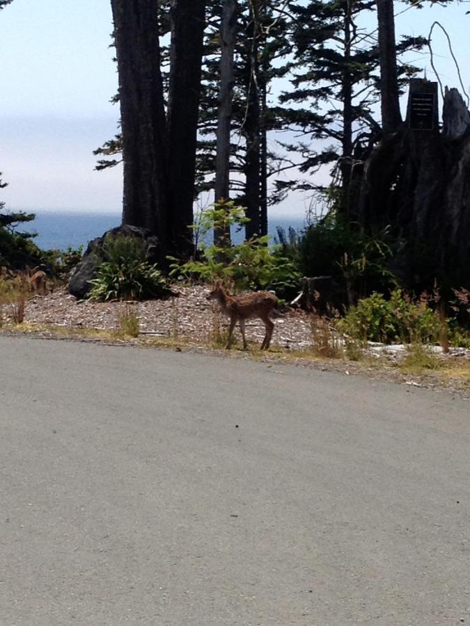 Cygnet Cove Suites Ucluelet Oda fotoğraf